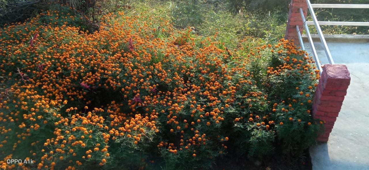 Evergreen Home Stay Almora Exterior photo